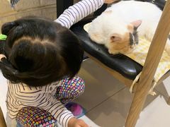 -平行世界·猫咖(首经贸店)