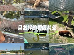 -水上乐园·欢乐世界