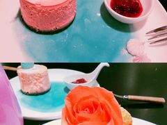 美人鱼芝士-随心小姐