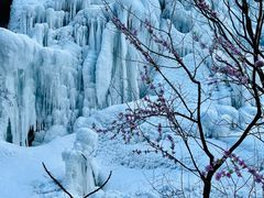 -黑龙潭风景区