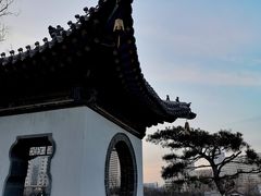 -迎泽公园