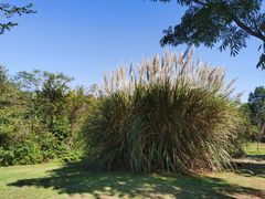 -盘龙城国家考古遗址公园