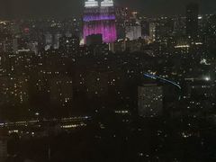 -上海龙之梦万丽酒店