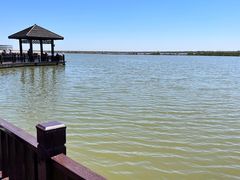 -南大港湿地风景区