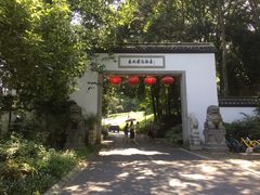 -东航云逸酒店(九溪烟树店)