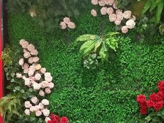 -辛香味烧鱼馆·非遗技艺·排骨红烧肉(光谷医药园店)