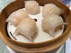 -金悦轩海鲜城(渔人码头店)