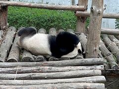 -黔灵山公园