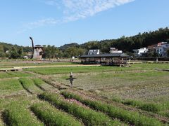 -红山村