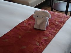 -京津新城温德姆至尊酒店(珠江大道店)