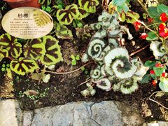 -国家植物园南园