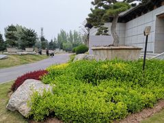 -中国唐苑