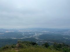 -黄埔油麻山森林公园