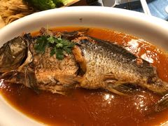 黄河大鲤鱼-胡杨记忆(和平路店)