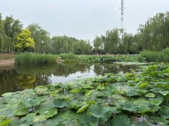 -南翠屏公园