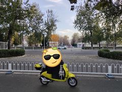 -三里屯东五街银杏大道