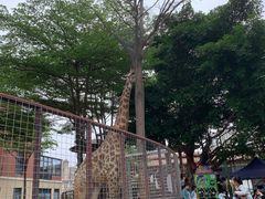 -灵玲国际马戏城