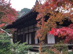 -常寂光寺