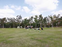 -上海海湾国家森林公园