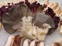 -南门四季铜锅涮肉(大屯·北苑店)