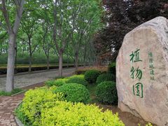 -洛阳市隋唐城遗址植物园
