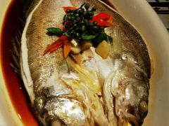 -绿茶餐厅(石家庄万象城店)