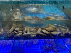 -海韵之星邮轮水会(明发商业广场店)