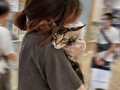 -屋虎猫馆(宝安大仟里店)