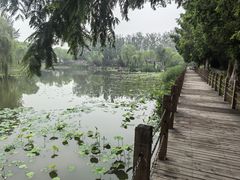 -稻香湖公园