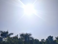 -观澜山水田园