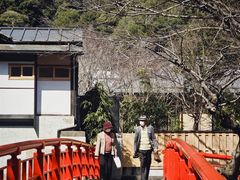 -伊豆观海列车