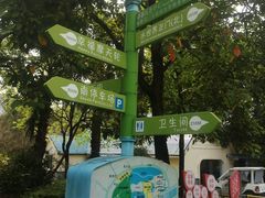 -凤岭儿童公园