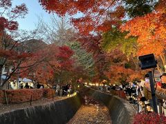 -富士山吉田線五合目