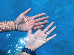 -海盗传奇水世界