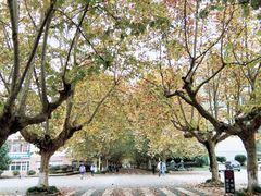 -四川农业大学(雅安校区)