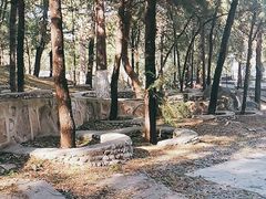 -北京鹫峰国家森林公园