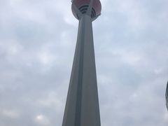 -339旋转餐厅(天府熊猫塔店)