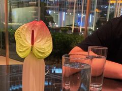 -茶源Fountain Lounge大堂吧·北京东方君悦大酒店
