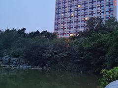 -成都保利公园皇冠假日酒店(熊猫基地店)