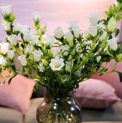 -JC·YOGA静禅瑜伽普拉提