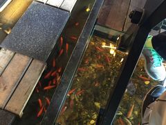 -颐和•海鲜砂锅粥•啫啫煲(奥林匹克广场店)