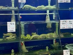-阿静美食