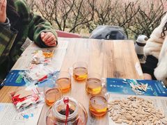 -香雪海