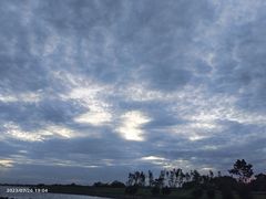 -漕湖湿地公园