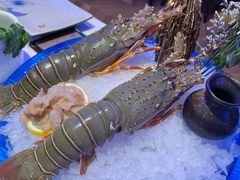 -半岛听涛蒸汽海鲜自助(K11店)