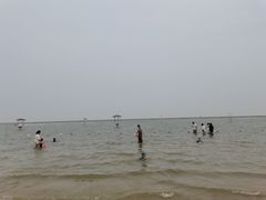 -碧海金沙