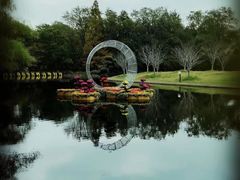 -上海共青森林公园