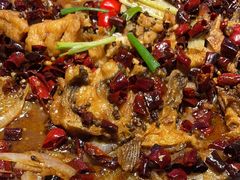 -老板恋上鱼(恒隆广场店)