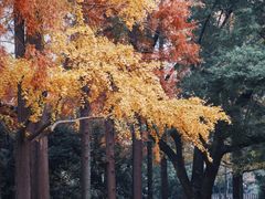-苏州大学(天赐庄校区)