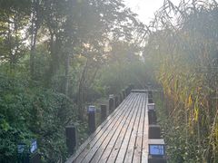-沙家浜风景区